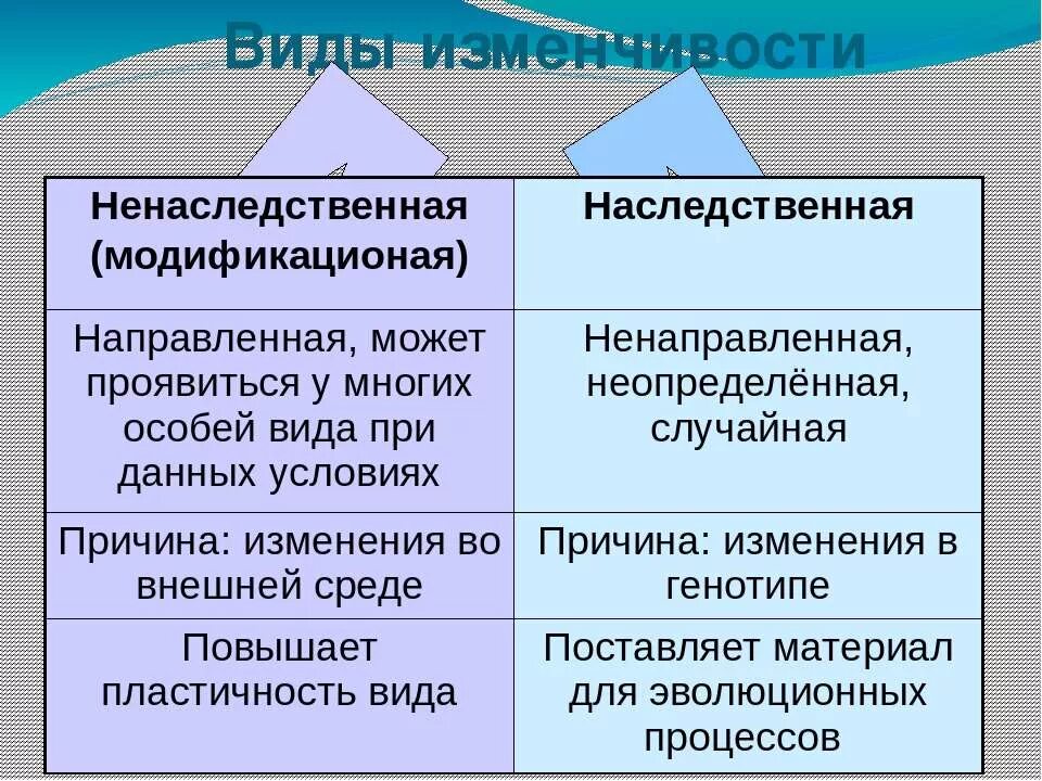 Виды изменчивости. Типы наследственной изменчивости. Виды наследственности и изменчивости. Ненаследственная изменчивость виды и примеры. Существует наследственная изменчивость