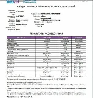 Соотношение белка к креатинину