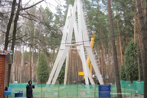 Парк елочки работает