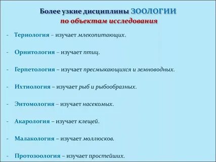 Как называется специалист который разрабатывает основы конструкции