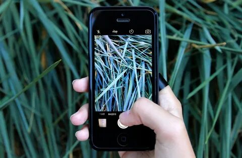 Grass mobile for android
