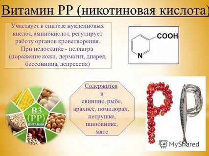 Никотиновая кислота это витамин