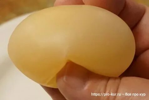 Куры яйцо тонкая скорлупа