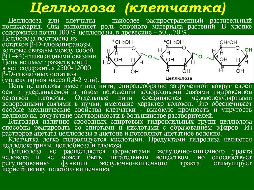 Целлюлоза клетчатка. Целлюлоза или клетчатка. Растительные полисахариды. Целлюлоза полисахарид.