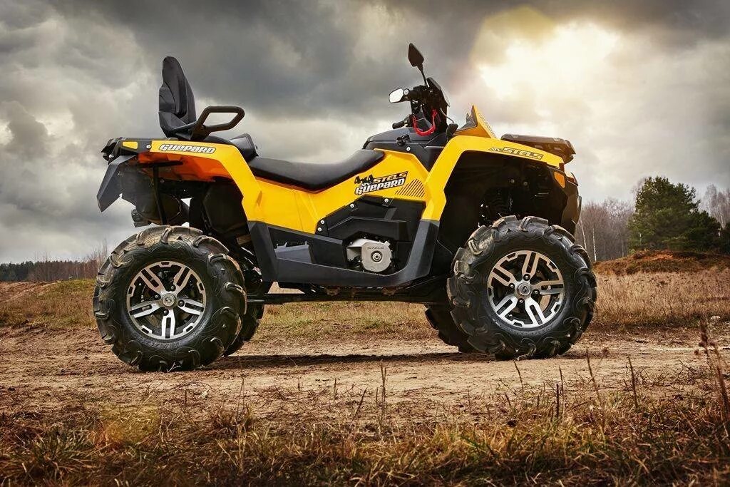 Квадроцикл гепард 800. Квадроцикл stels guepard 650. stels atv 650 guepard. квадроцикл stels atv 650 guepard. stels atv 650 guepard trophy.