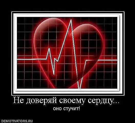 Я стучу в сердце каждого. Сердце стучит. Как бьется сердце. Сердце не бьется. Сердце бьётся Ровно мерно.