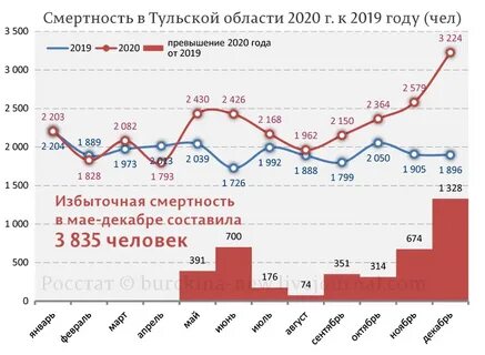 Статистика 2019