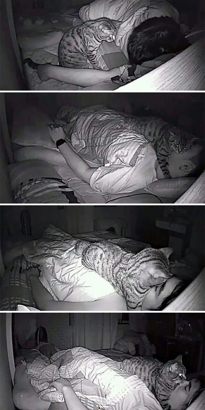 Покажи видео как спят. Спать сон. Необычные позы для сна.