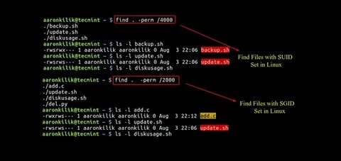 Finding files linux