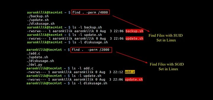 Directory permission linux. Suid sgid linux. file rights linux. linux permissions. linux find file.