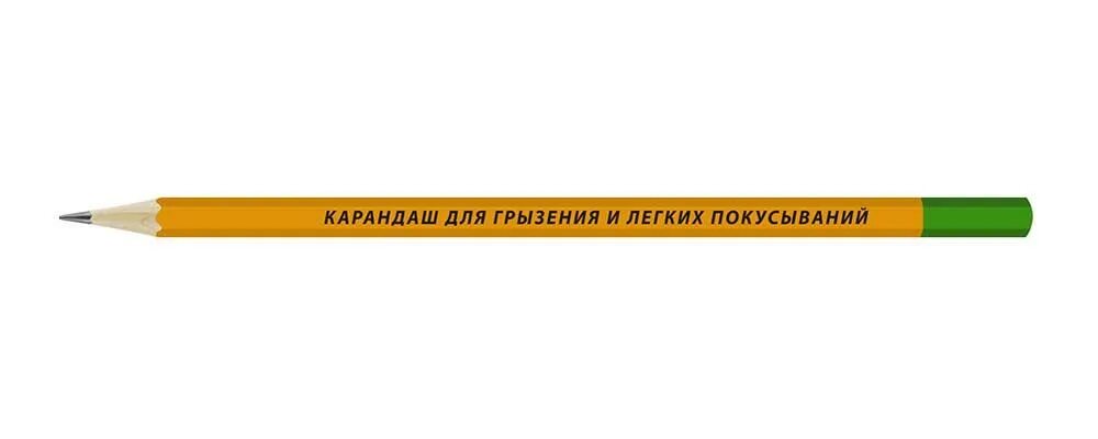 Куплено 7 карандашей. Фирмы карандашей. карандаш большой сувенирный. 07 карандашом. карандаш, 7в.