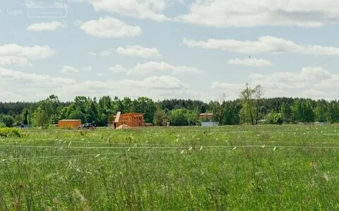Лесничество ульяновка тосненский