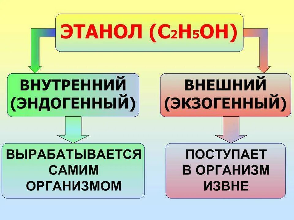 Эндогенный алкоголь. Эндогенный этанол. Эндогенный этанол в организме человека. Внутренний распад