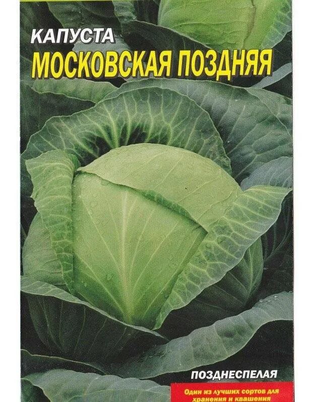 Капуста московская описание сорта отзывы. Капуста белокочанная Московская поздняя. Капуста сорт Московская поздняя. Семена капусты Московская поздняя. Капуста Московская поздняя 15.