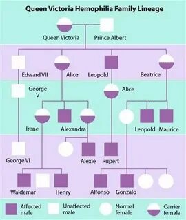 Queen tree