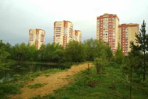 Черное балашиха московская область