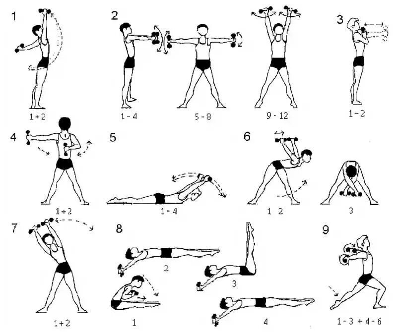 Комплекс упражнений с гантелями (10-12 упражнений). Комплекс общеразвивающих упражнений с гантелями 10-12 упражнений. Упражнения с гантелями для подростков. Комплекс упражнений с гантелями для мальчика 10 лет.