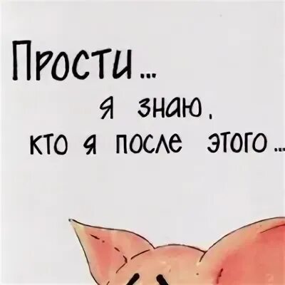 Прости меня папа макс. Извинения перед женой. прости меня я свинья. прости меня я был свиньей. прости меня засранку.