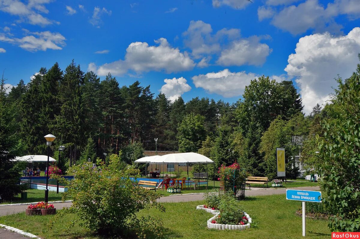 Звенигород театральных деятелей. Санаторий звенигород стд рф. Пансионат стд рф звенигород. Санаторий союз театральных деятелей в звенигороде. Звенигород театральных деятелей.