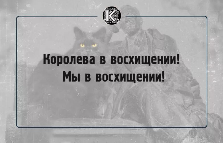 Мы в восхищении. Мы в восхищении кот. Мы в восхищении мастер и маргарита. Мы в восхищении. Мы в восхищении.