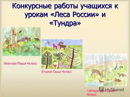 Конспект урока лес и человек 4 класс