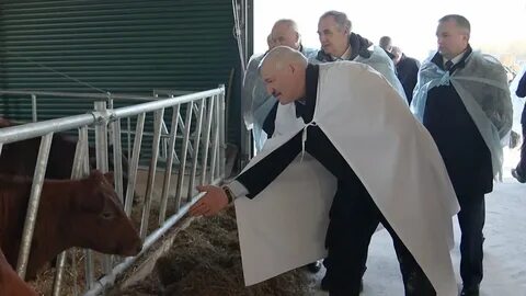 Лукашенко на ферме