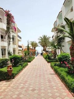 Minamark beach отзывы