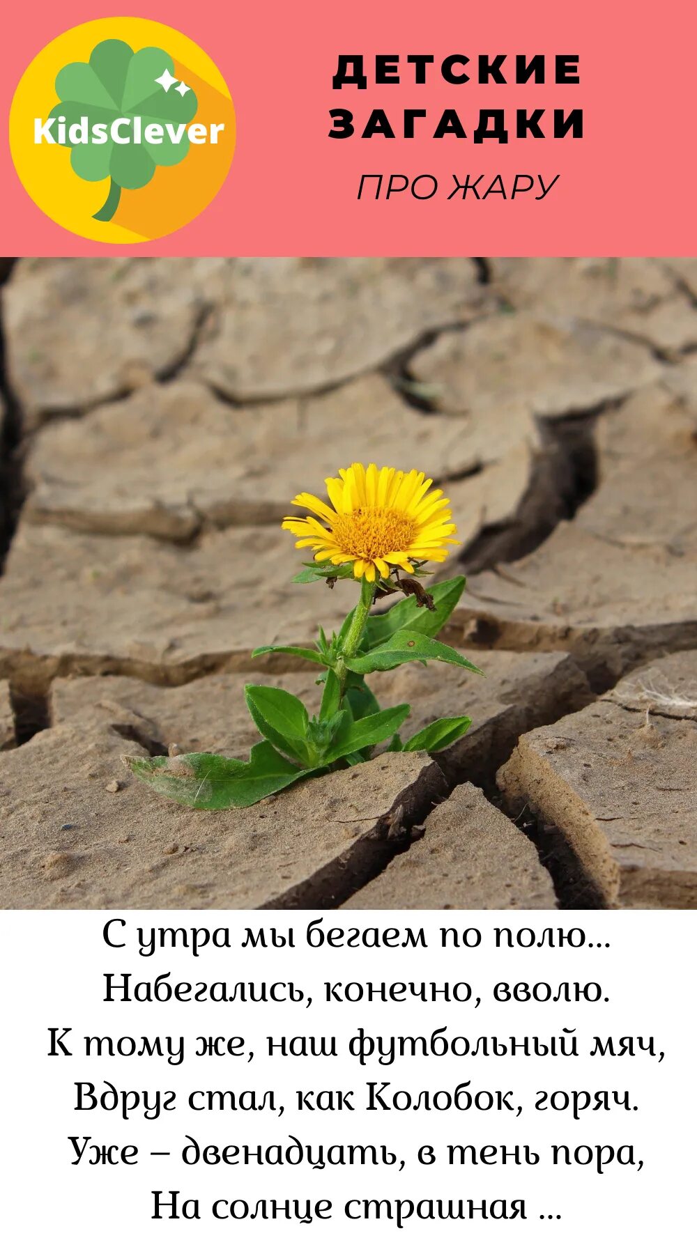 Загадка с ответом жара. Загадка про жар. Панч про жару. Наше веселое лето. Загадка про жар птицу для дошкольников.