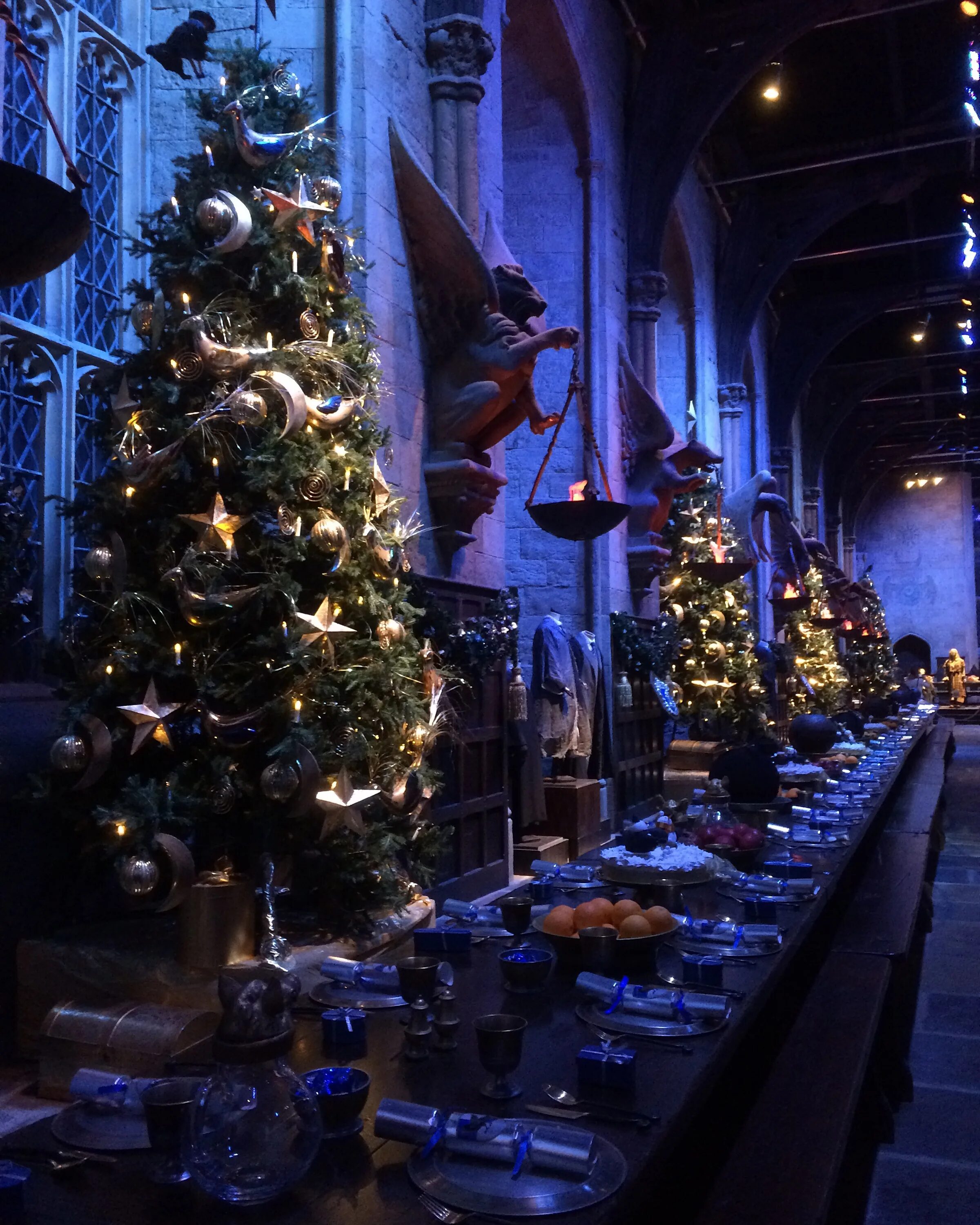 Harry potter new year