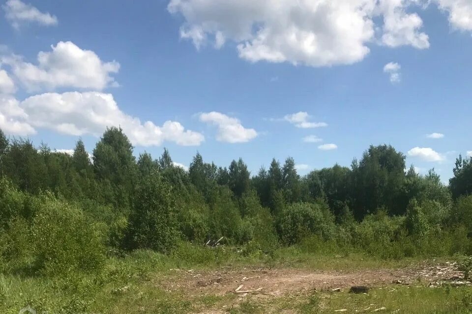 Деревня пейчала шумское поселения. Московская гора зубцов. 448 участок. Деревня пейчала шумское поселения. Мозжарино.