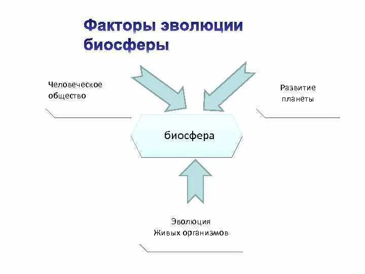 Возникновение биосферы схема. Факторы эволюции биосферы. Основные факторы эволюции биосферы. Процесс развития биосферы. 3 основных фактора развития