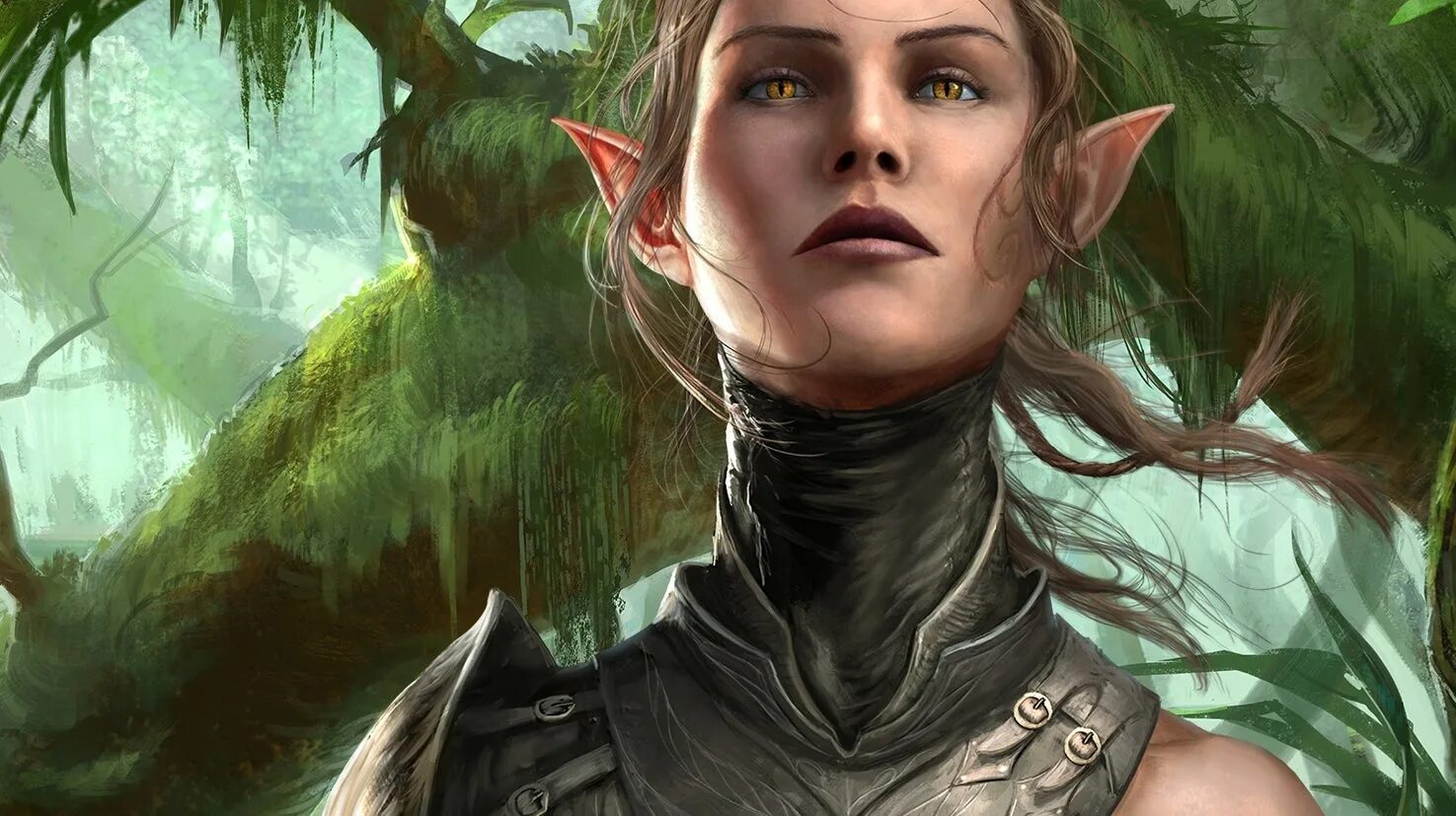 Divinity эльфы. Дивинити ориджинал лариан. дивинити эльфы. сибилла дивинити. сибилла дивинити 2.