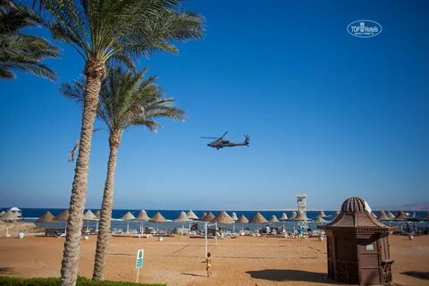 Parrotel beach resort отзывы 2024