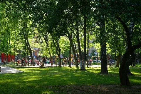 Лыткарино парк