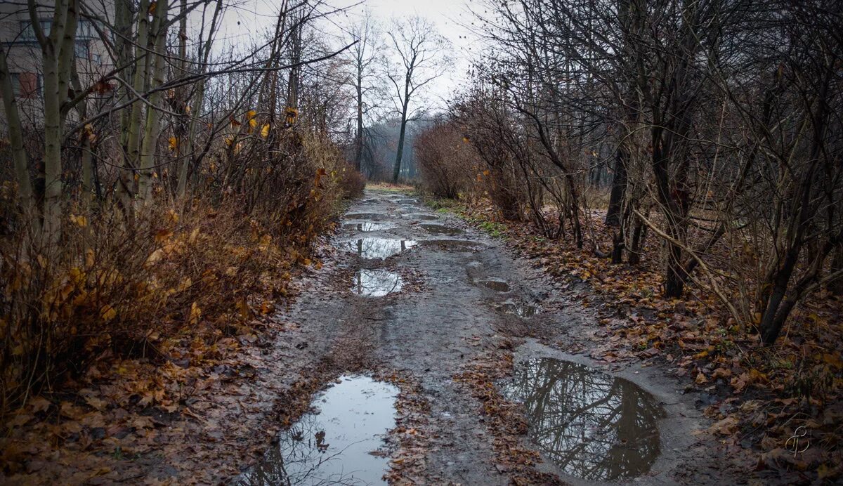 снег на земле. почва зимой. ноябрь стоял темный и грязный зима. поздняя зима. пантюхин юрий петрович картины.
