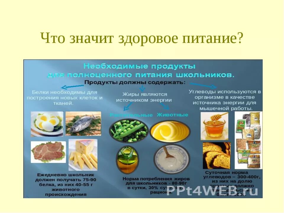 Питание 3.3 в. Здоровое питание технология. Конспект по технологии здоровое питание. Составить план проведения здорового питания. Что значит правильно питаться.