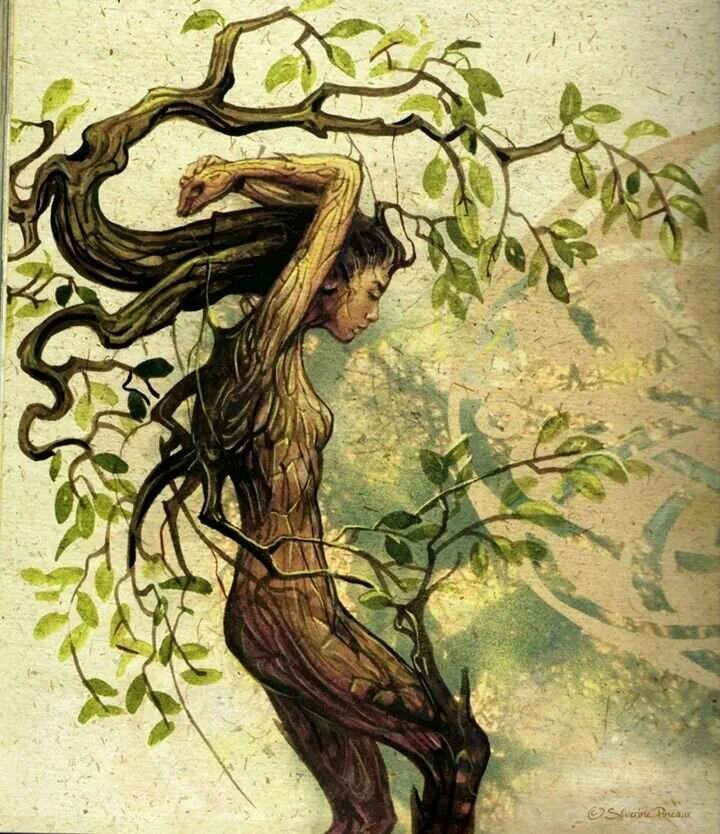 Фотосет на дереве. Anna ewa miarczynska картины. Девушка дерево фэнтези. Женщина дерево. Девушка дерево как называется.