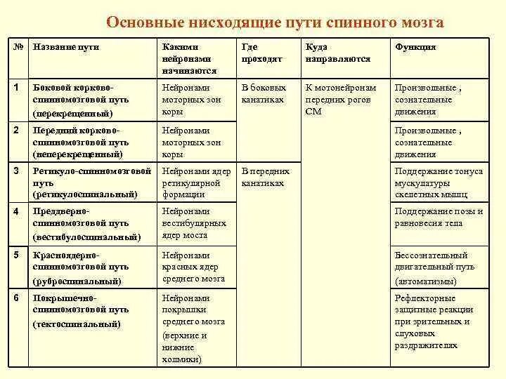 Нисходящие пути спинного. Проводящие пути спинного мозга таблица функции. Основные восходящие пути спинного мозга. Проводниковые пути спинного мозга таблица. Сравнительная таблица проводящие пути головного и спинного мозга.