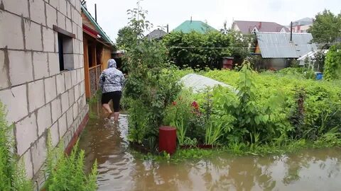Заливает дачу