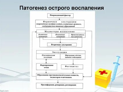 Роль воспаления в патогенезе