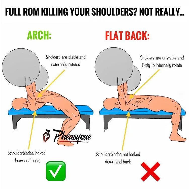 Full rom. Арч упражнение. Бенчинг / benching. Bench метод. Упражнение арка тренинг.