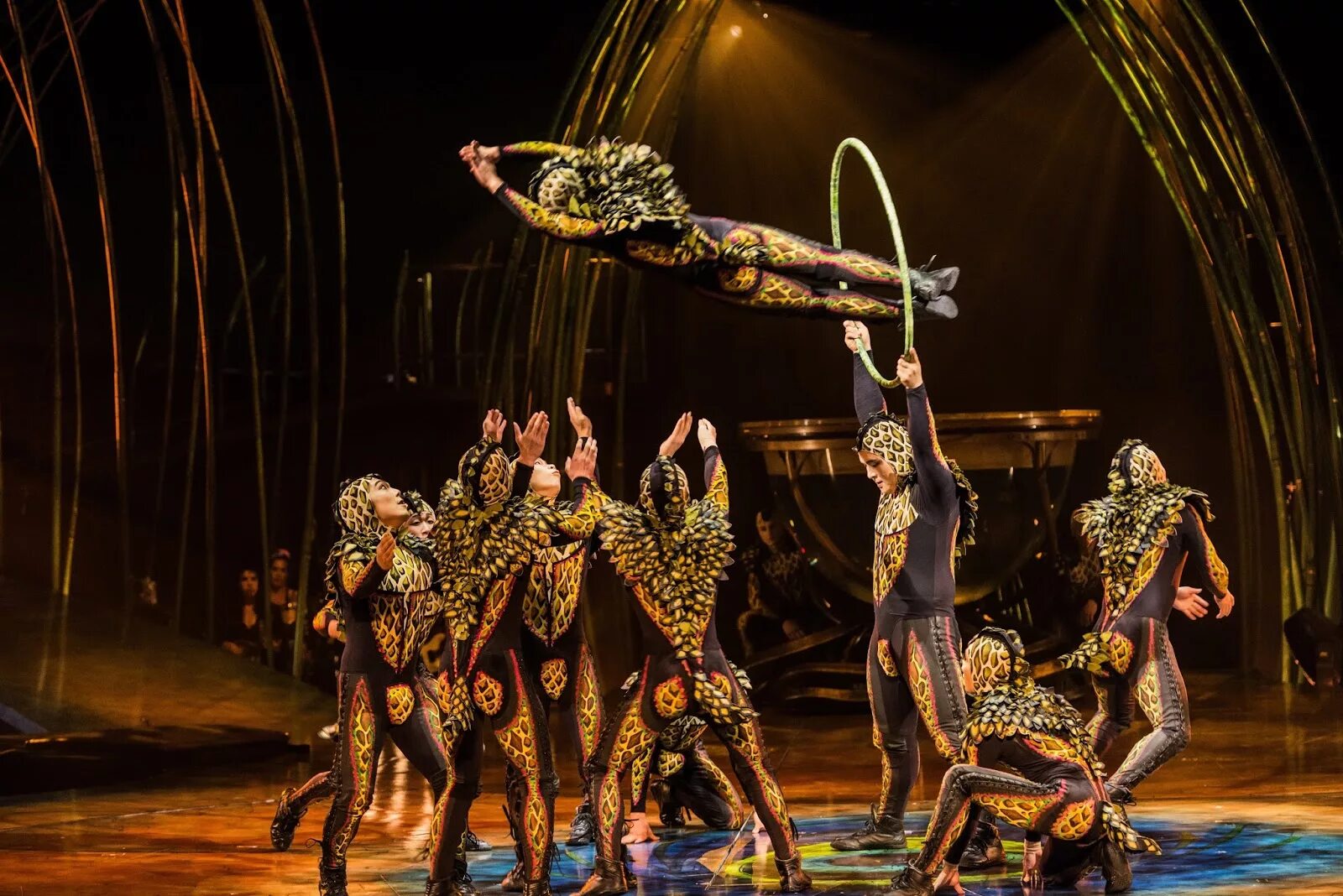 Полнометражное шоу. Полнометражное шоу. Полнометражное шоу. Театр дю солей. Бродвейский театр чикаго.