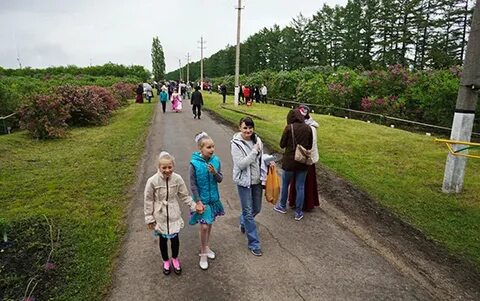 Население 3000 человек
