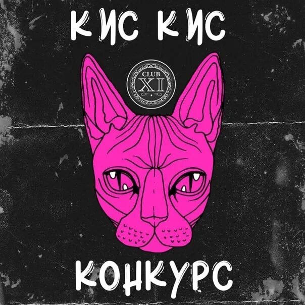 Кис кис mp3. Кис кис обложка группы. Кис кис логотип. Кот кис кис группа. Кис кис плакат.