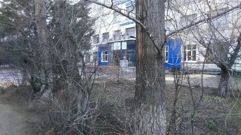 Волгоградский колледж им вернадского