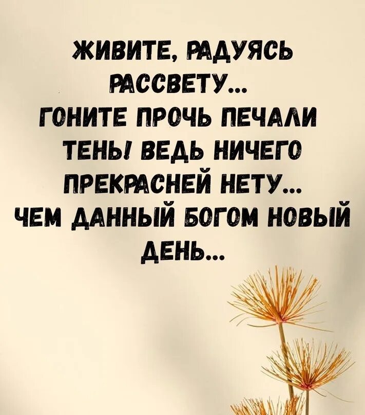 Радоваться рассвету. Живите радуясь рассвету. Живите радуясь рассвету гоните прочь. Живите радуйтесь рассвету. Живите радуясь рассвету стих.