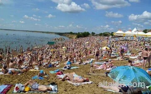 С яровое алтайского края