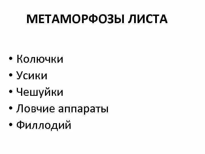 Утрата листьев и превращение их в колючки. Утрата листьев и превращение их в колючки