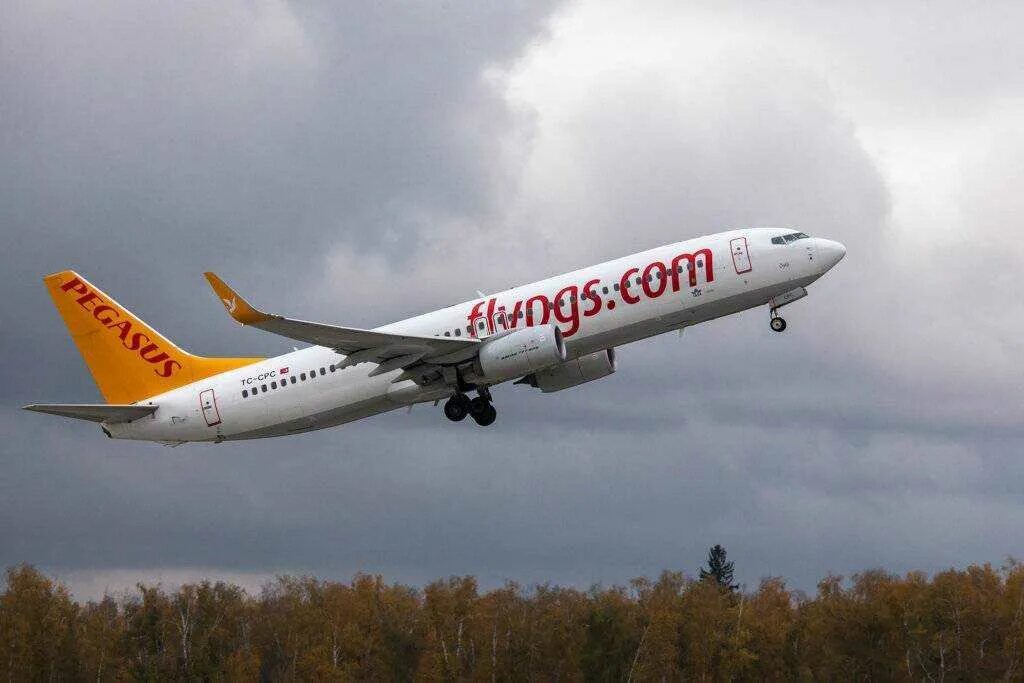 Авиакомпания Пегасус Эйрлайнс. Пегасус Эйрлайнс Домодедово. Pegasus Airlines самолеты. Пегасус Эйрлайнс самолеты.