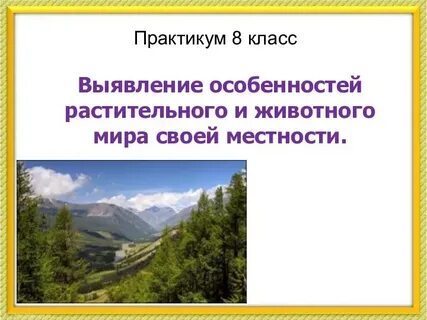 Природные комплексы местности